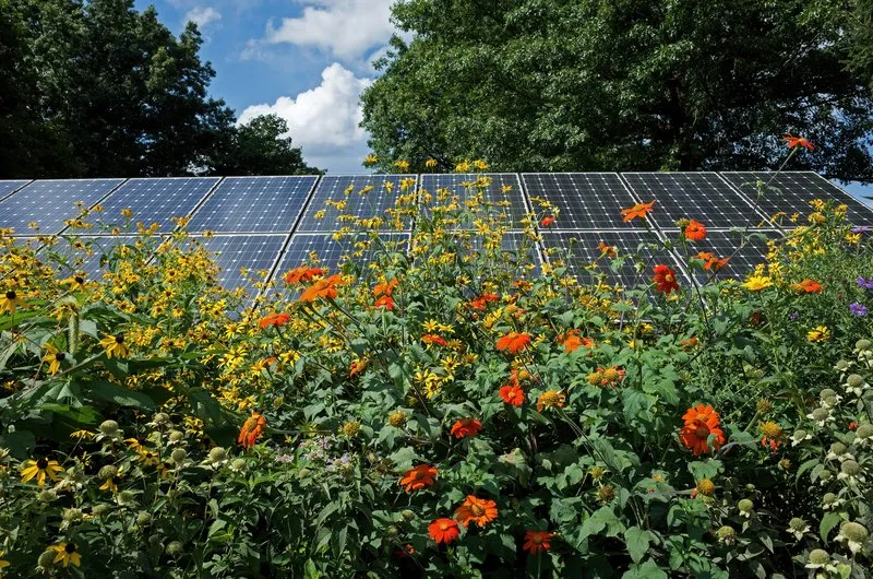 3 Ways to Add Solar Into Your Garden Landscape