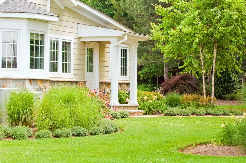 Common Problems That Can Affect the Health of Your Lawn