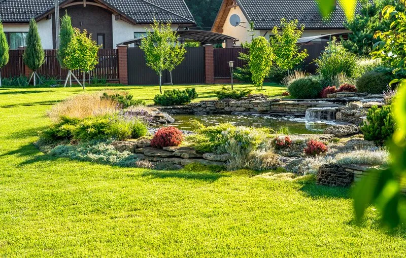 How to Fix a Dull Backyard Landscape