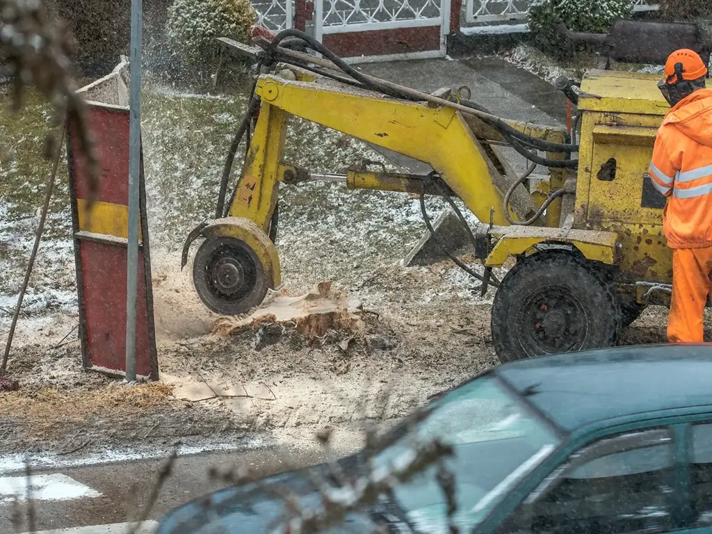 Things to Avoid When Looking for a Stump Grinding Firm